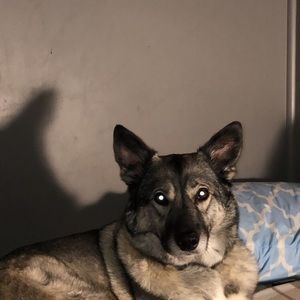 Meet your Posher, Dominic